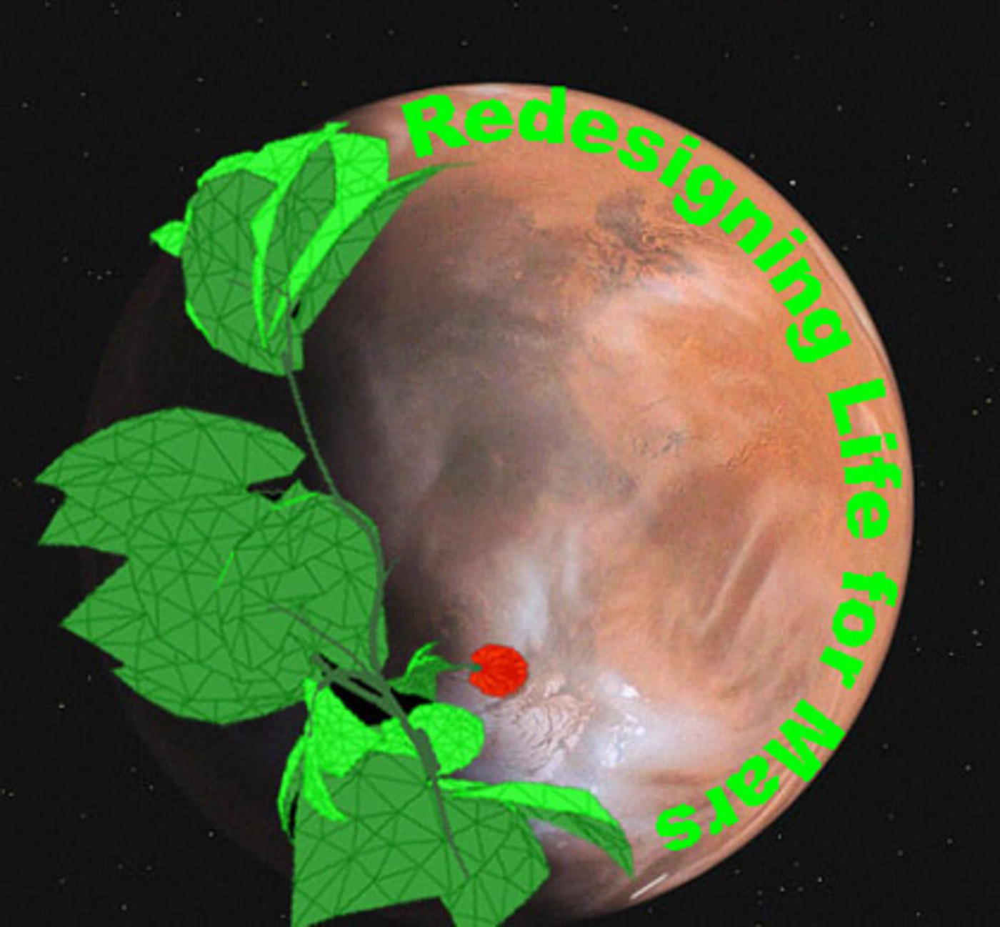 SpaceX Mars